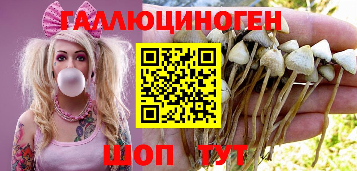 Галлюциногенные грибы мицелий  Вход с VPN  Ейск 